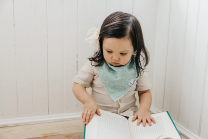 Blush Single Bandana Bib By Copper Pearl - Elegant Mommy