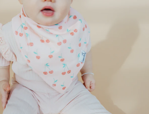 Cheery Single Bandana Bib By Copper Pearl - Elegant Mommy