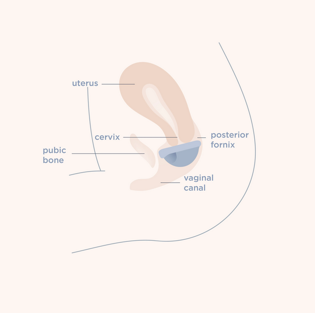 Saalt Menstrual Disc - Coastal Blue (Regular) - Elegant Mommy
