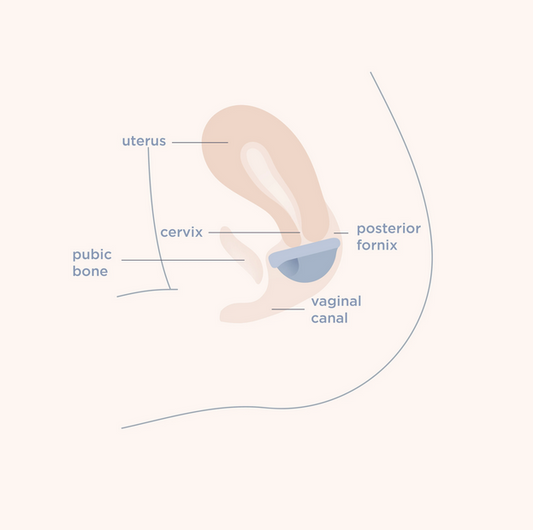 Saalt Menstrual Disc - Coastal Blue (Regular) - Elegant Mommy